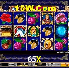 Game Providers 65X